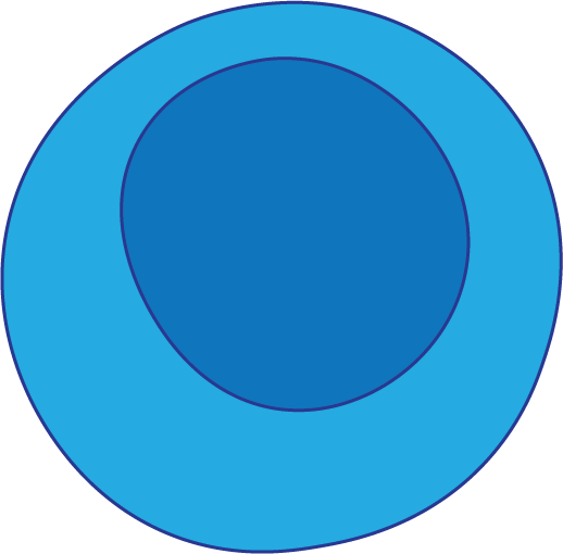 T cell